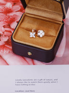 [Elowen jewels ]STAR AND SUN PINK GOLD MOP STUD EARRINGS