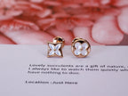 [Elowen jewels ]STAR AND SUN PINK GOLD MOP STUD EARRINGS